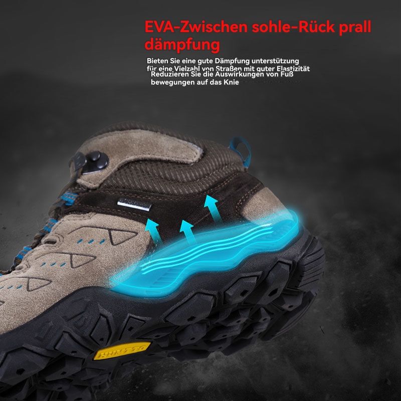 Männer Bergschuhe | Alpine Evo Gtx Bergschuhe Bergschuhe